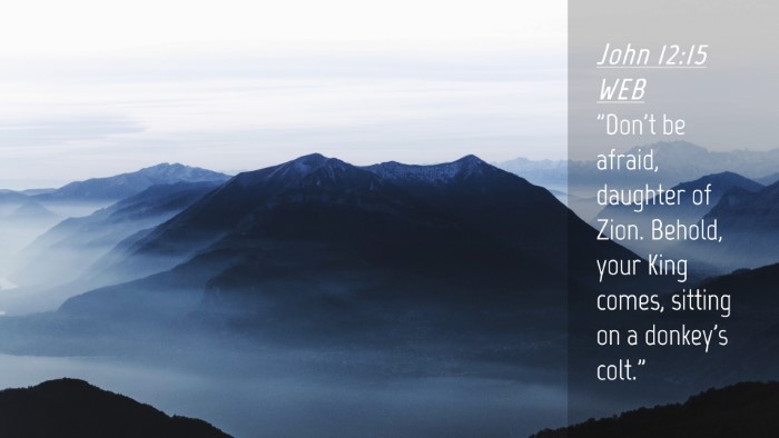 Picture 04 - John 12:15 WEB Desktop Wallpaper - 