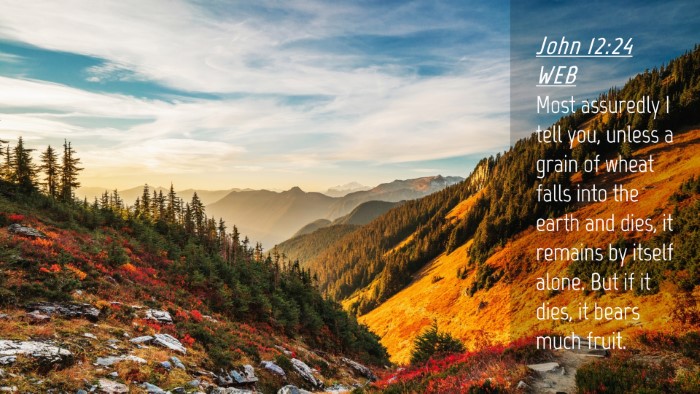 Picture 04 - John 12:24 WEB Desktop Wallpaper - Most assuredly I tell you, unless a grain of - Desktop Bible Verse Wallpaper