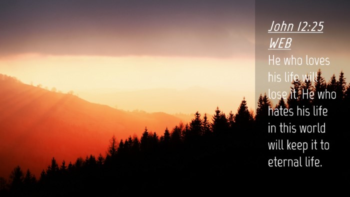 Picture 04 - John 12:25 WEB Desktop Wallpaper - He who loves his life will lose it. He who hates - Desktop Bible Verse Wallpaper