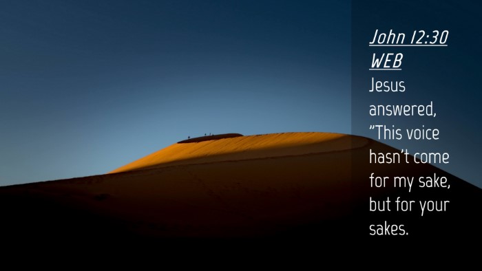 Picture 04 - John 12:30 WEB Desktop Wallpaper - Jesus answered, 