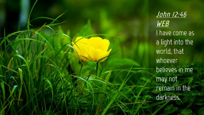 Picture 04 - John 12:46 WEB Desktop Wallpaper - I have come as a light into the world, that - Desktop Bible Verse Wallpaper