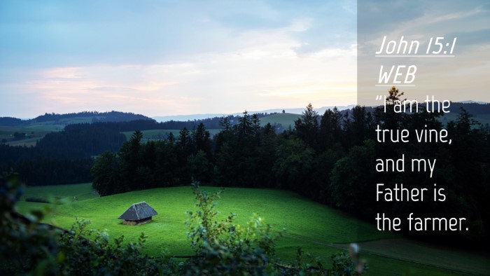 Picture 04 - John 15:1 WEB Desktop Wallpaper - 