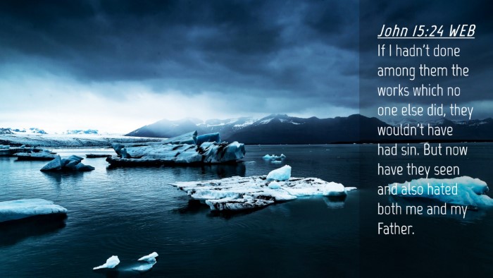 Picture 04 - John 15:24 WEB Desktop Wallpaper - If I hadn't done among them the works which no - Desktop Bible Verse Wallpaper