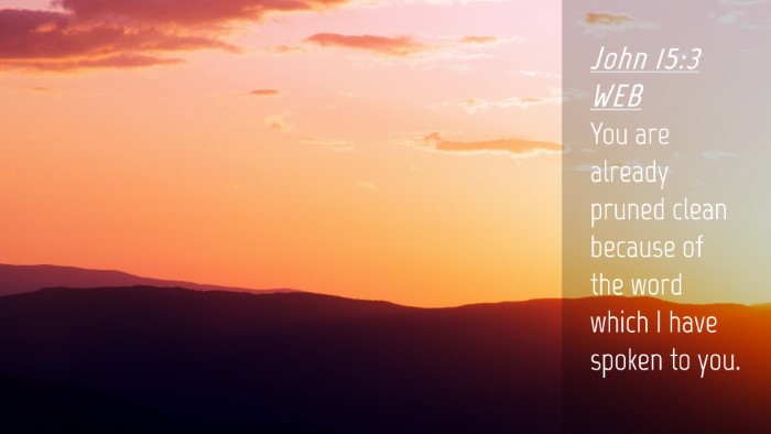 Picture 04 - John 15:3 WEB Desktop Wallpaper - You are already pruned clean because of the word - Desktop Bible Verse Wallpaper