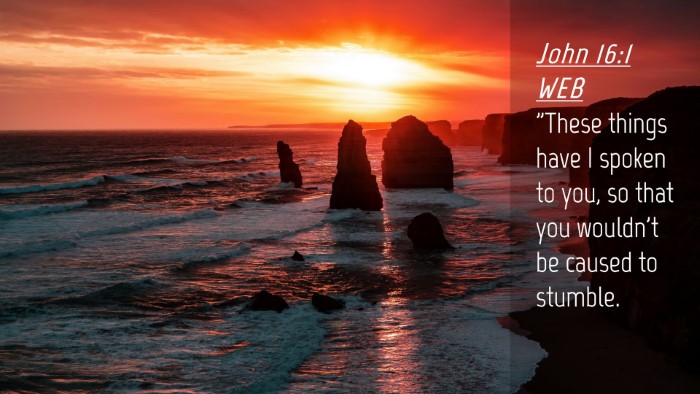 Picture 04 - John 16:1 WEB Desktop Wallpaper - 