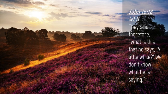 Picture 04 - John 16:18 WEB Desktop Wallpaper - They said therefore, 