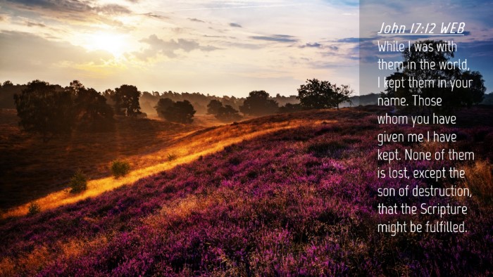 Picture 04 - John 17:12 WEB Desktop Wallpaper - While I was with them in the world, I kept them - Desktop Bible Verse Wallpaper