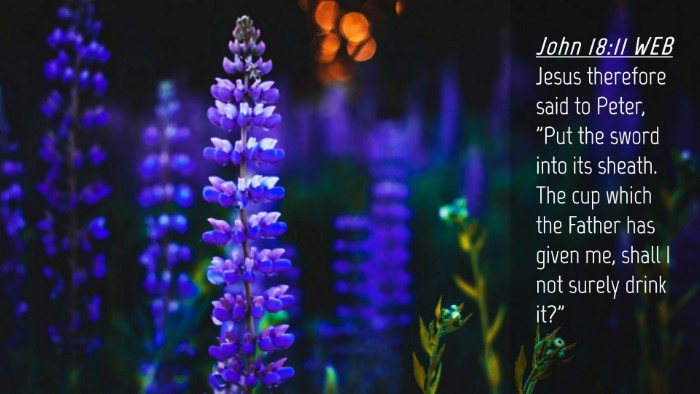 Picture 04 - John 18:11 WEB Desktop Wallpaper - Jesus therefore said to Peter, 