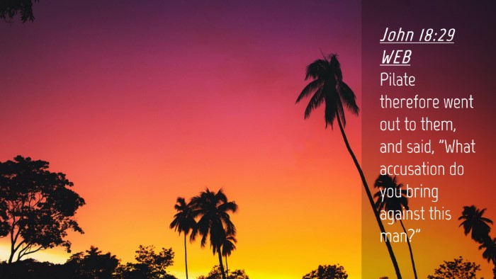 Picture 04 - John 18:29 WEB Desktop Wallpaper - Pilate therefore went out to them, and said, - Desktop Bible Verse Wallpaper