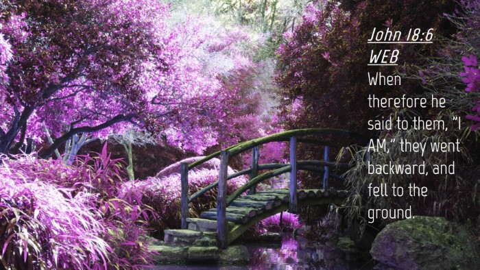 Picture 04 - John 18:6 WEB Desktop Wallpaper - When therefore he said to them, 