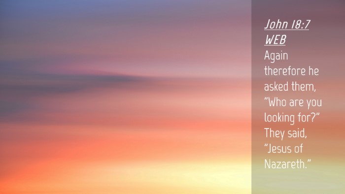 Picture 04 - John 18:7 WEB Desktop Wallpaper - Again therefore he asked them, 
