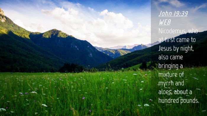 Picture 04 - John 19:39 WEB Desktop Wallpaper - Nicodemus, who at first came to Jesus by night, - Desktop Bible Verse Wallpaper