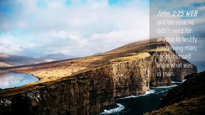 Picture 04 - John 2:25 WEB Desktop Wallpaper - and because he didn't need for anyone to testify - Desktop Bible Verse Wallpaper