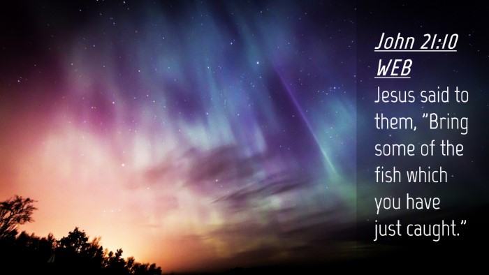 Picture 04 - John 21:10 WEB Desktop Wallpaper - Jesus said to them, 