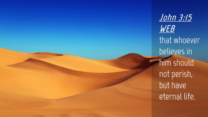 Picture 04 - John 3:15 WEB Desktop Wallpaper - that whoever believes in him should not perish, - Desktop Bible Verse Wallpaper