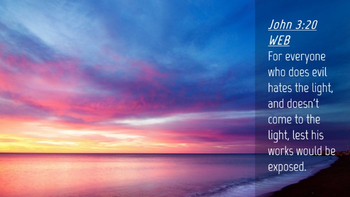 Picture 04 - John 3:20 WEB Desktop Wallpaper - For everyone who does evil hates the light, and - Desktop Bible Verse Wallpaper