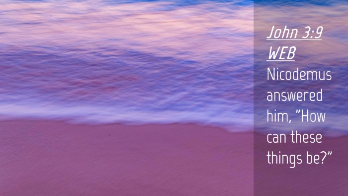 Picture 04 - John 3:9 WEB Desktop Wallpaper - Nicodemus answered him, 