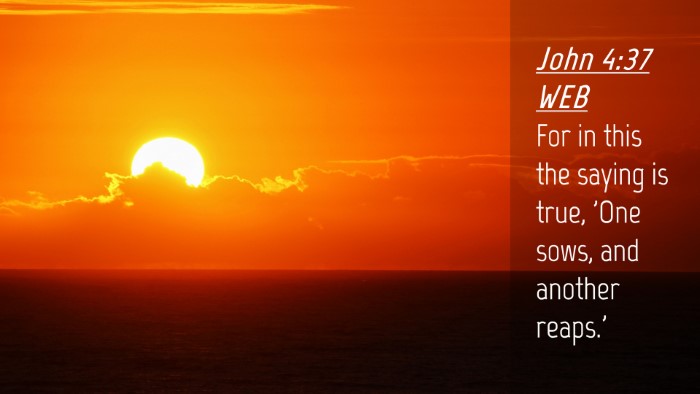Picture 04 - John 4:37 WEB Desktop Wallpaper - For in this the saying is true, 'One sows, and - Desktop Bible Verse Wallpaper