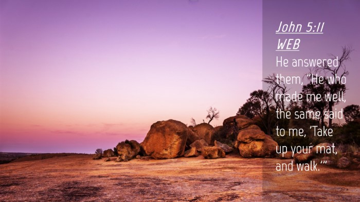 Picture 04 - John 5:11 WEB Desktop Wallpaper - He answered them, 