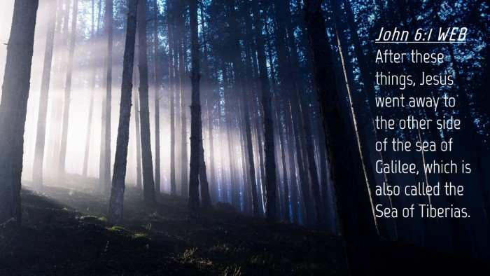 Picture 04 - John 6:1 WEB Desktop Wallpaper - After these things, Jesus went away to the other - Desktop Bible Verse Wallpaper