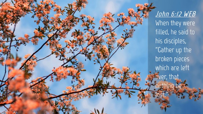 Picture 04 - John 6:12 WEB Desktop Wallpaper - When they were filled, he said to his disciples, - Desktop Bible Verse Wallpaper