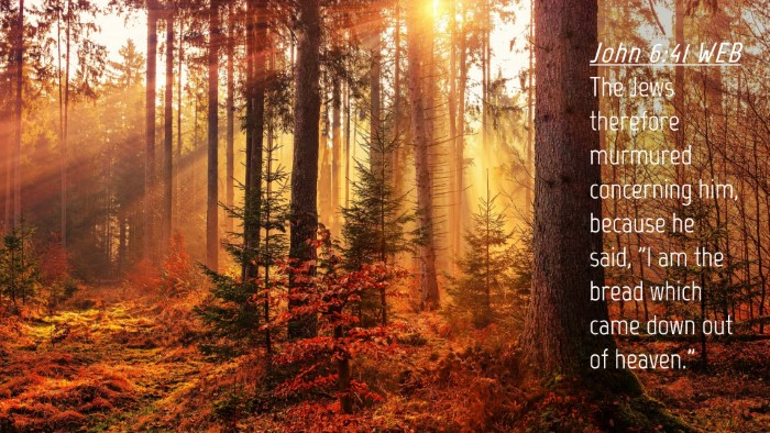 Picture 04 - John 6:41 WEB Desktop Wallpaper - The Jews therefore murmured concerning him, - Desktop Bible Verse Wallpaper