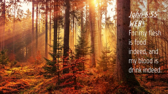 Picture 04 - John 6:55 WEB Desktop Wallpaper - For my flesh is food indeed, and my blood is - Desktop Bible Verse Wallpaper