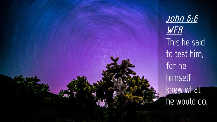 Picture 04 - John 6:6 WEB Desktop Wallpaper - This he said to test him, for he himself knew - Desktop Bible Verse Wallpaper