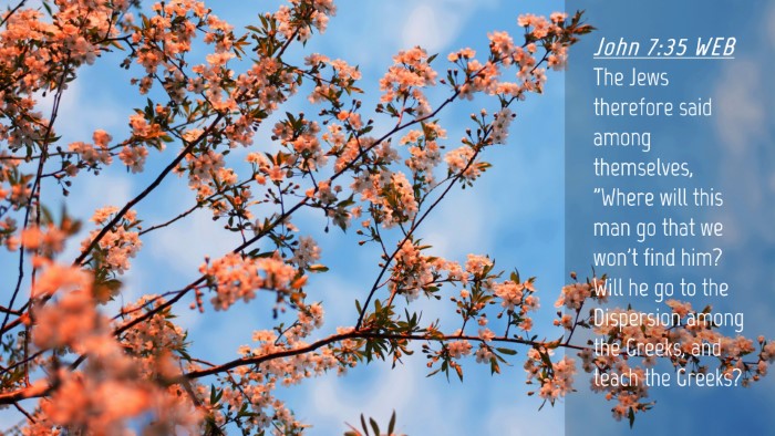 Picture 04 - John 7:35 WEB Desktop Wallpaper - The Jews therefore said among themselves, 