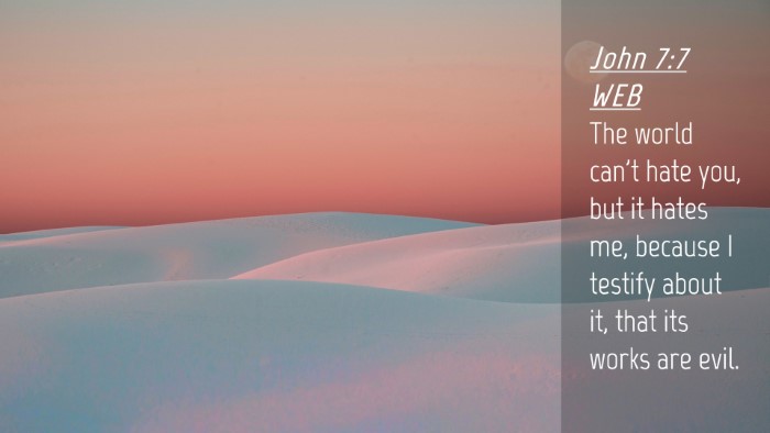 Picture 04 - John 7:7 WEB Desktop Wallpaper - The world can't hate you, but it hates me, - Desktop Bible Verse Wallpaper