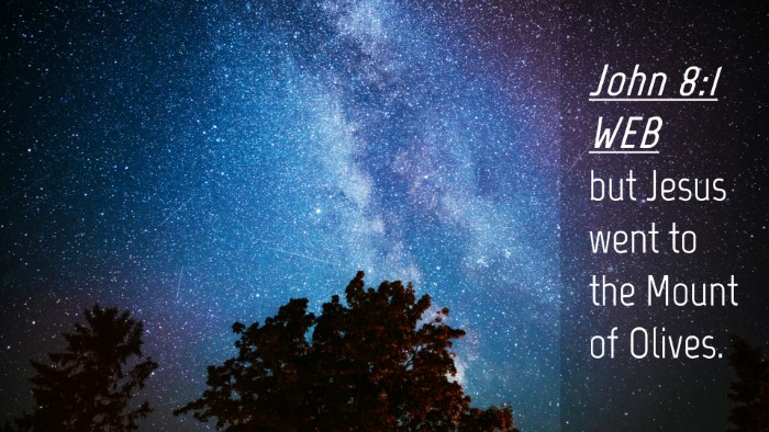Picture 04 - John 8:1 WEB Desktop Wallpaper - but Jesus went to the Mount of - Desktop Bible Verse Wallpaper