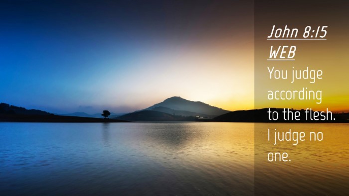 Picture 04 - John 8:15 WEB Desktop Wallpaper - You judge according to the flesh. I judge no - Desktop Bible Verse Wallpaper