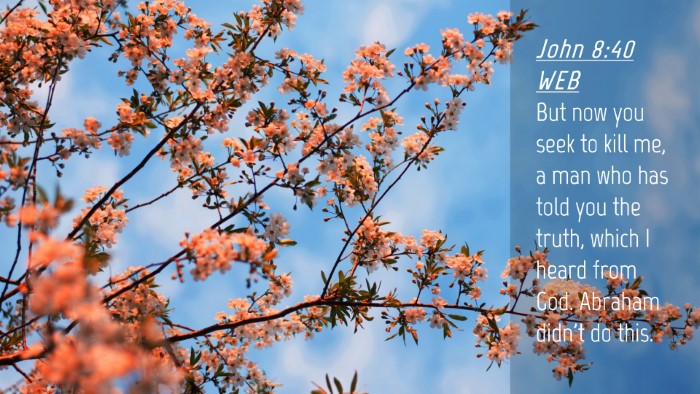 Picture 04 - John 8:40 WEB Desktop Wallpaper - But now you seek to kill me, a man who has told - Desktop Bible Verse Wallpaper