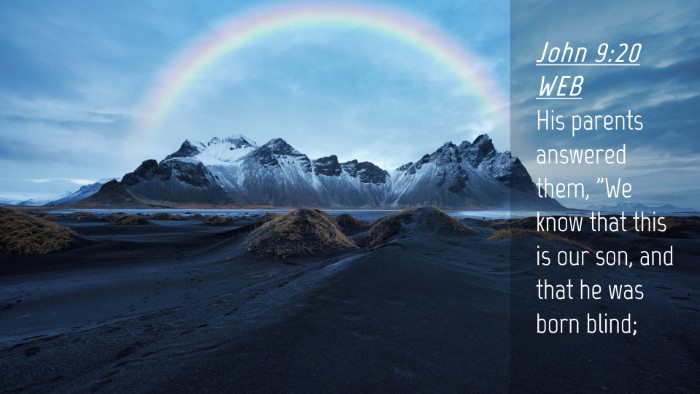 Picture 04 - John 9:20 WEB Desktop Wallpaper - His parents answered them, 
