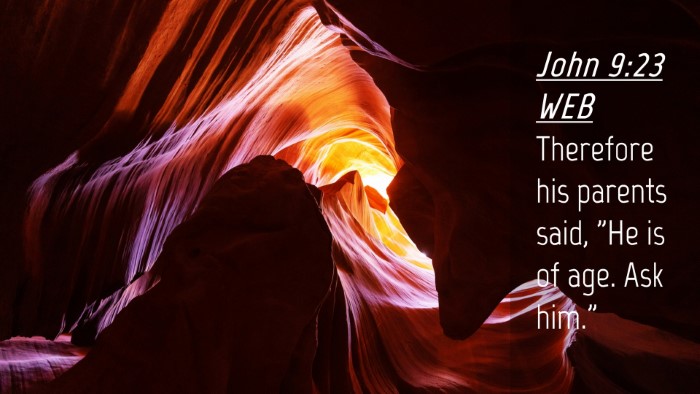Picture 04 - John 9:23 WEB Desktop Wallpaper - Therefore his parents said, 