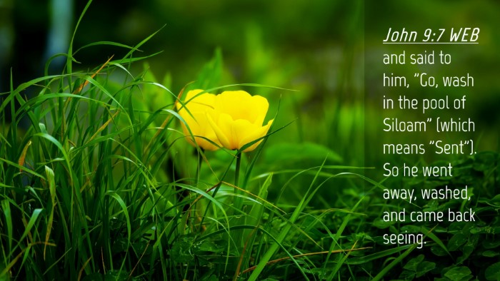 Picture 04 - John 9:7 WEB Desktop Wallpaper - and said to him, 