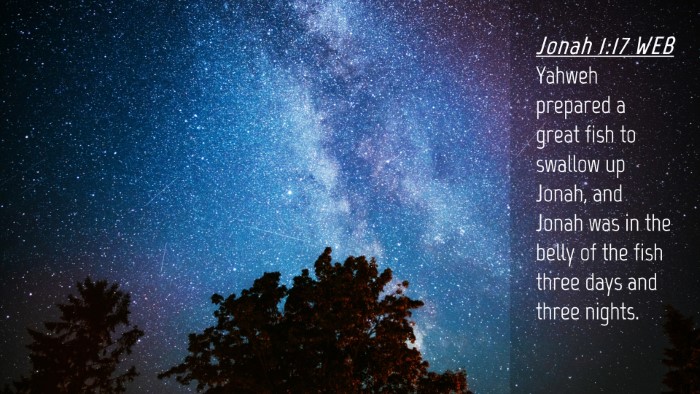 Picture 04 - Jonah 1:17 WEB Desktop Wallpaper - Yahweh prepared a great fish to swallow up Jonah, - Desktop Bible Verse Wallpaper