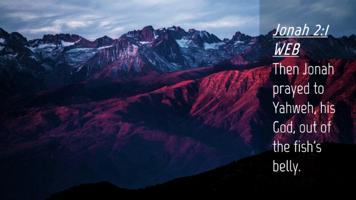 Picture 04 - Jonah 2:1 WEB Desktop Wallpaper - Then Jonah prayed to Yahweh, his God, out of the - Desktop Bible Verse Wallpaper