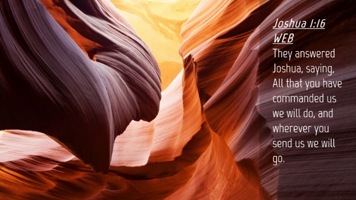 Picture 04 - Joshua 1:16 WEB Desktop Wallpaper - They answered Joshua, saying, All that you have - Desktop Bible Verse Wallpaper