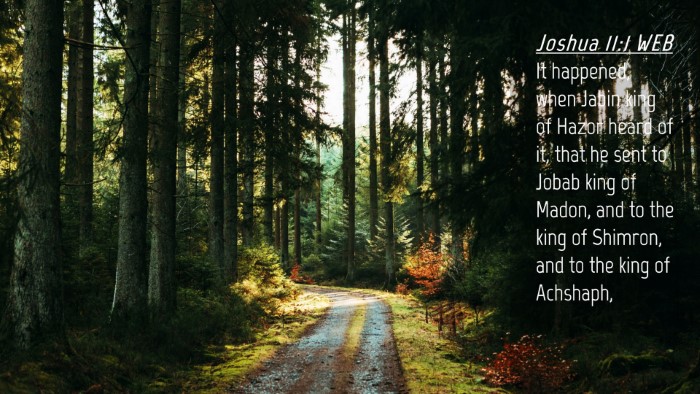 Picture 04 - Joshua 11:1 WEB Desktop Wallpaper - It happened, when Jabin king of Hazor heard of - Desktop Bible Verse Wallpaper