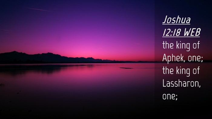 Picture 04 - Joshua 12:18 WEB Desktop Wallpaper - the king of Aphek, one; the king of Lassharon, - Desktop Bible Verse Wallpaper