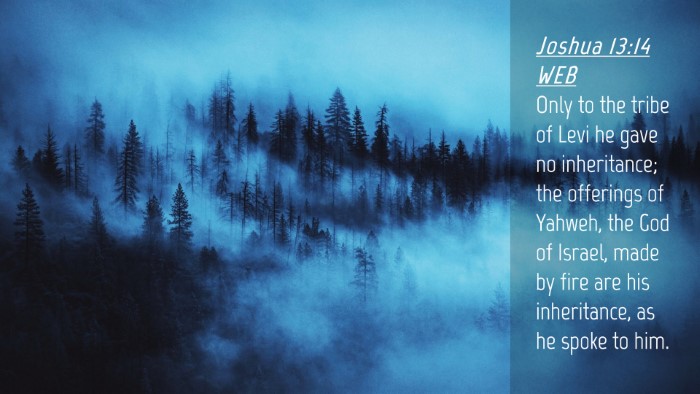 Picture 04 - Joshua 13:14 WEB Desktop Wallpaper - Only to the tribe of Levi he gave no inheritance; - Desktop Bible Verse Wallpaper