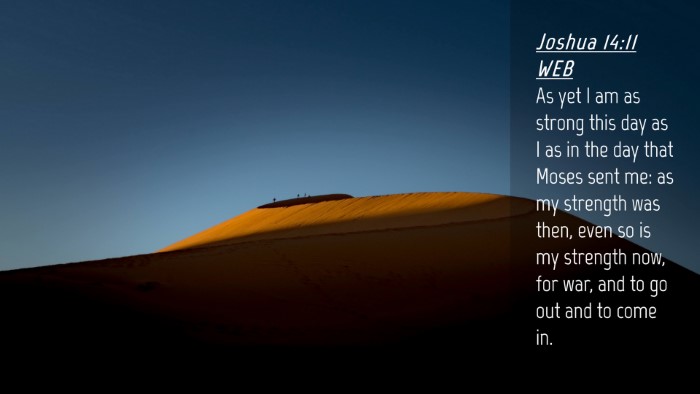 Picture 04 - Joshua 14:11 WEB Desktop Wallpaper - As yet I am as strong this day as I as in the day - Desktop Bible Verse Wallpaper