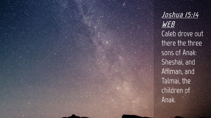 Picture 04 - Joshua 15:14 WEB Desktop Wallpaper - Caleb drove out there the three sons of Anak: - Desktop Bible Verse Wallpaper