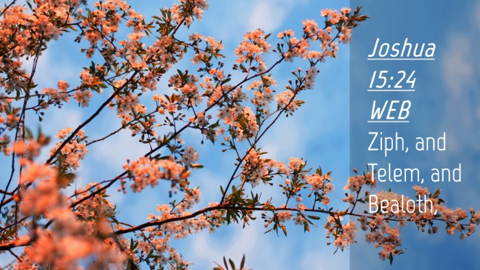 Picture 04 - Joshua 15:24 WEB Desktop Wallpaper - Ziph, and Telem, and - Desktop Bible Verse Wallpaper
