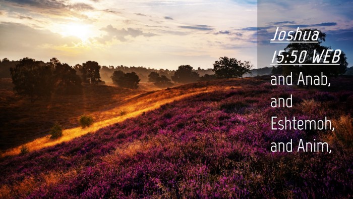 Picture 04 - Joshua 15:50 WEB Desktop Wallpaper - and Anab, and Eshtemoh, and - Desktop Bible Verse Wallpaper