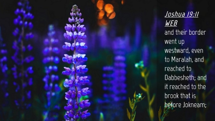 Picture 04 - Joshua 19:11 WEB Desktop Wallpaper - and their border went up westward, even to - Desktop Bible Verse Wallpaper