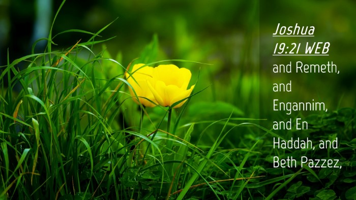 Picture 04 - Joshua 19:21 WEB Desktop Wallpaper - and Remeth, and Engannim, and En Haddah, and Beth - Desktop Bible Verse Wallpaper