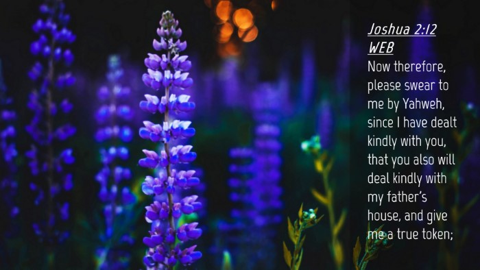 Picture 04 - Joshua 2:12 WEB Desktop Wallpaper - Now therefore, please swear to me by Yahweh, - Desktop Bible Verse Wallpaper