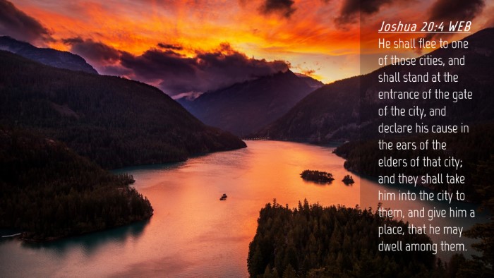 Picture 04 - Joshua 20:4 WEB Desktop Wallpaper - He shall flee to one of those cities, and shall - Desktop Bible Verse Wallpaper